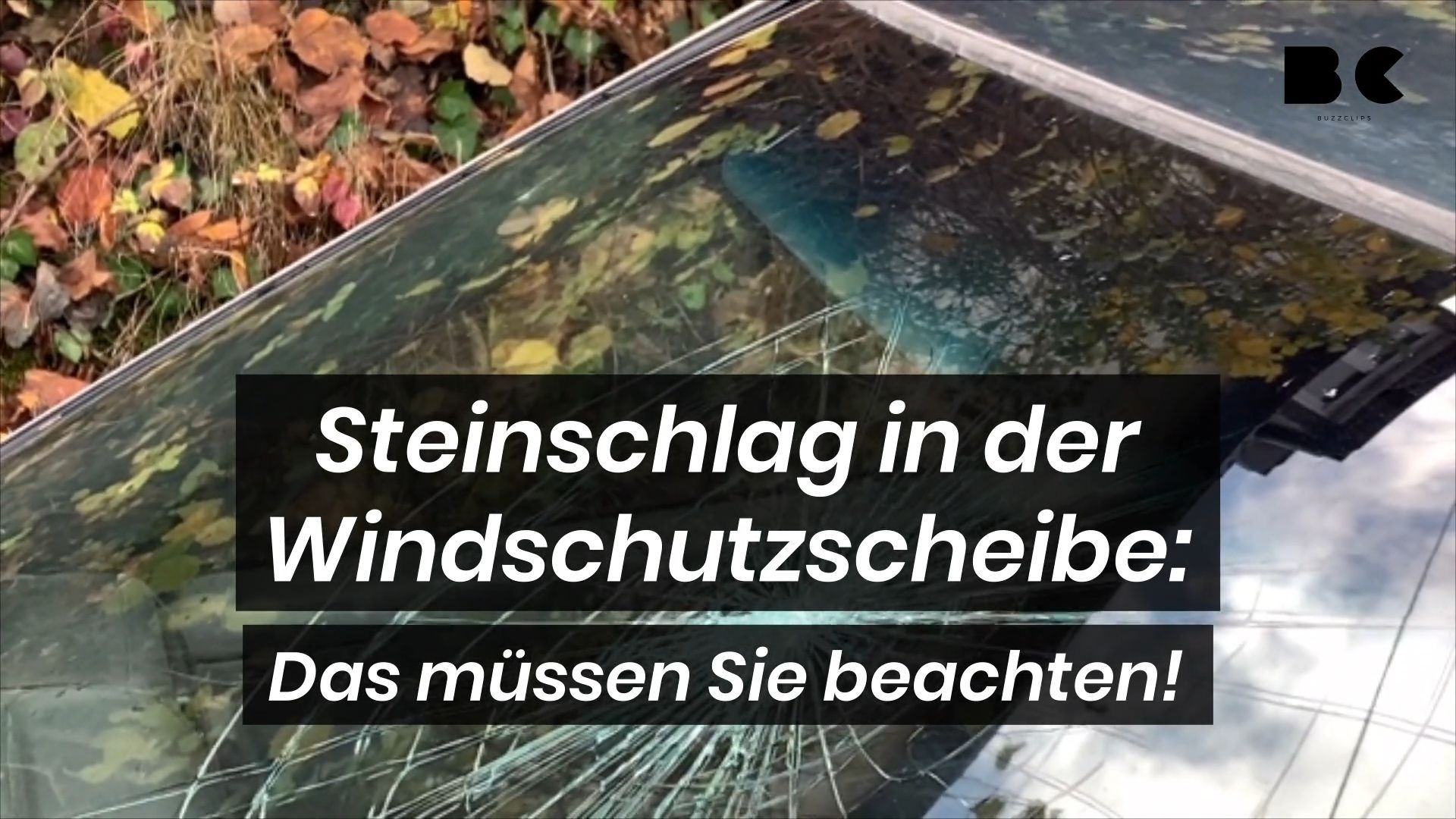 Steinschlag in der Windschutzscheibe Das müssen Sie beachten