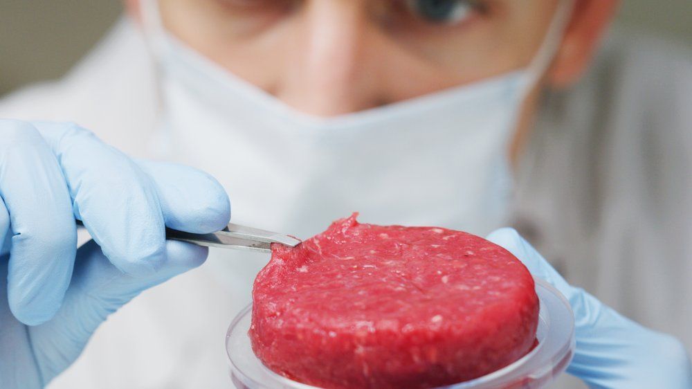 Italien: Herstellung und Verkauf von Laborfleisch ist verboten