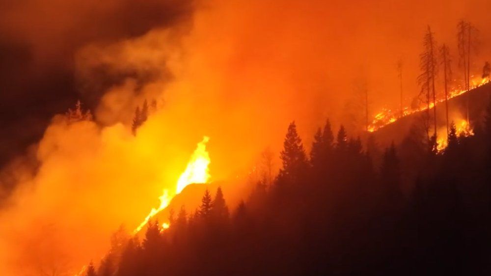 Video: 110 Hektar in Flammen: Waldbrand wütet in Österreich