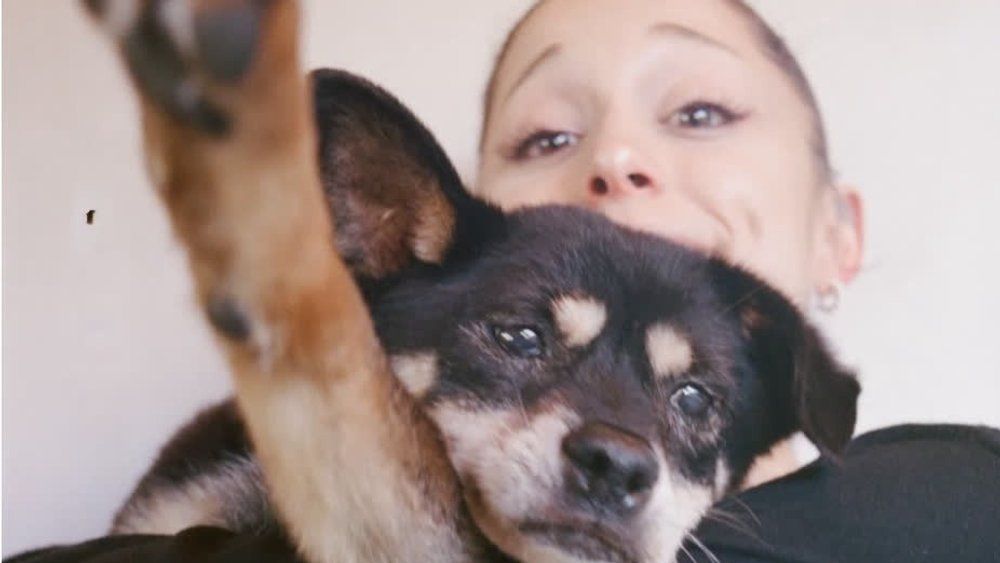 Ariana Grande mourns her dog Coco