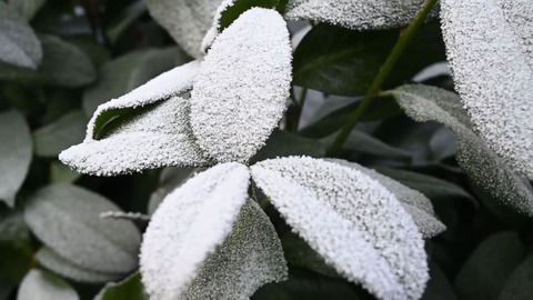 Regen, Kälte und mitunter Schnee: Es wird ungemütlich