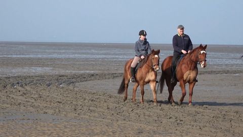 Nordsee und Ostsee: Frühlingshafter Sonntag zieht Menschen an die Küsten