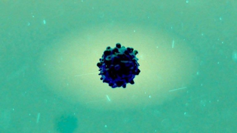 Videografik: So verbreitet sich das Coronavirus auf Oberflächen