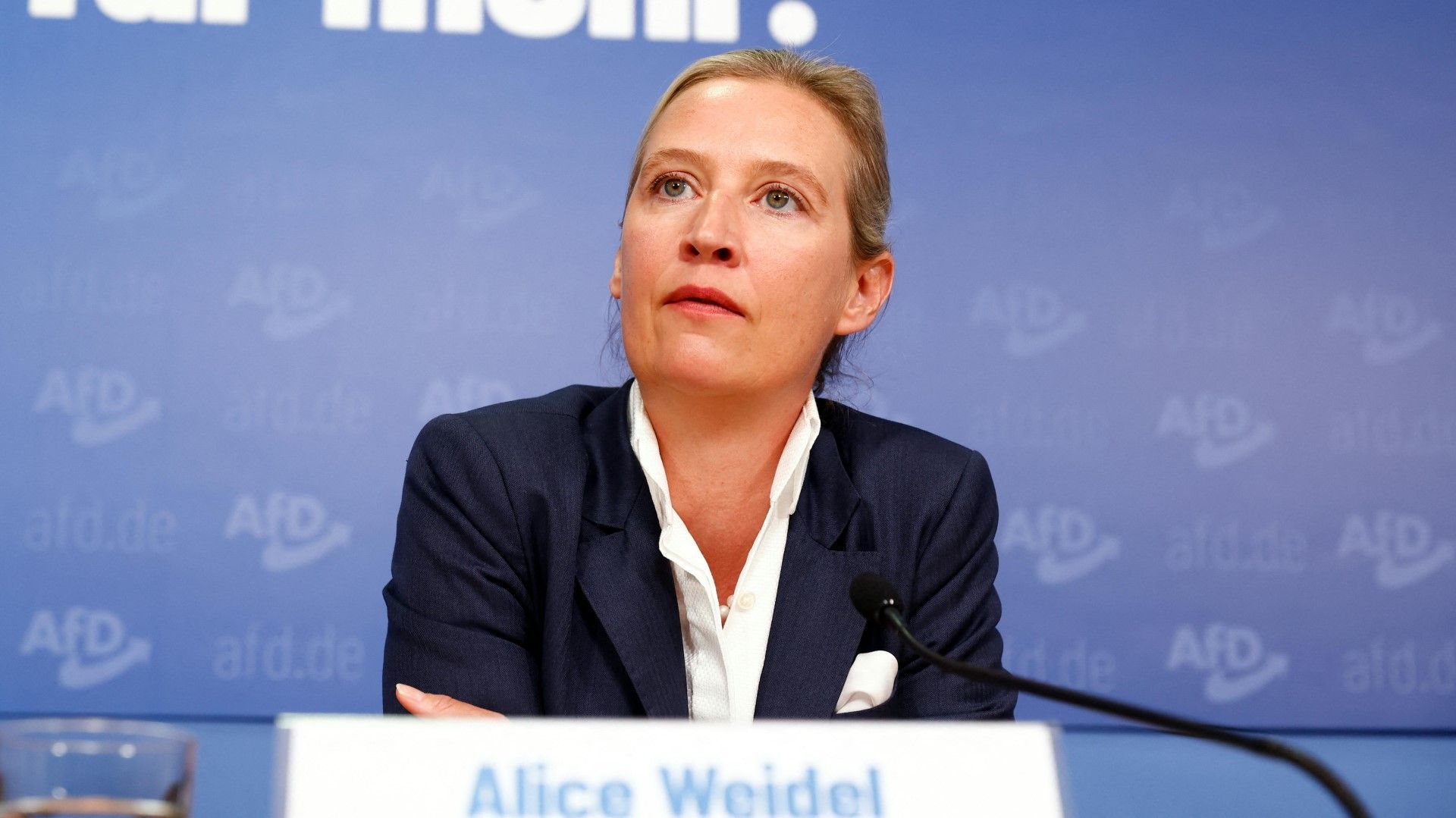 AfD-Chefin Weidel offenbar unter Plagiatsverdacht