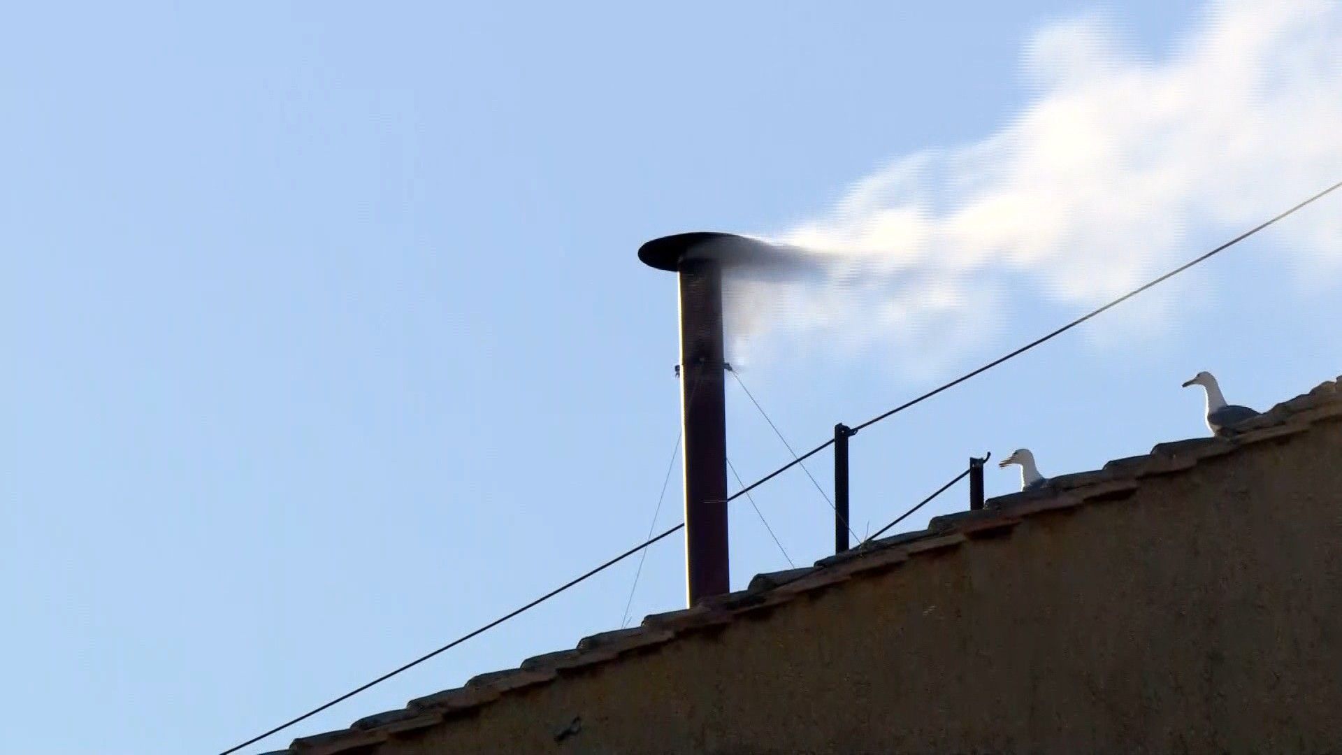 Video: White smoke appears in Vatican signalling new pope chosen