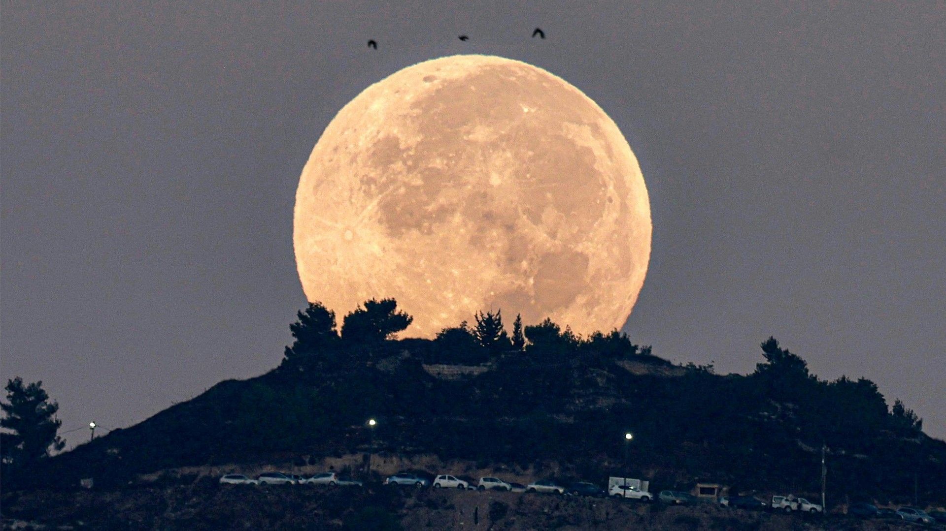 „Blutmond“ begeistert Schaulustige auf der ganzen Welt
