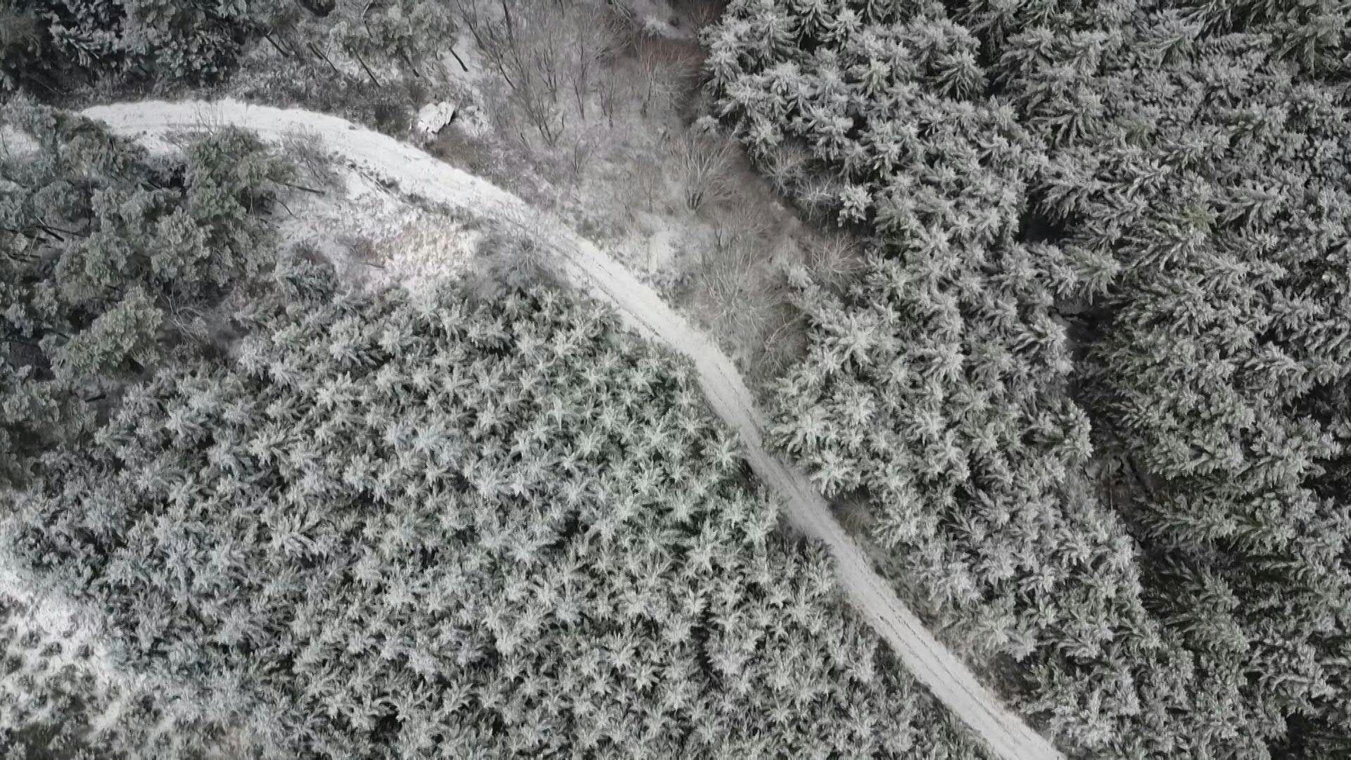 Video: Aerial images: The Pilat mountain range in central France blanketed in snow