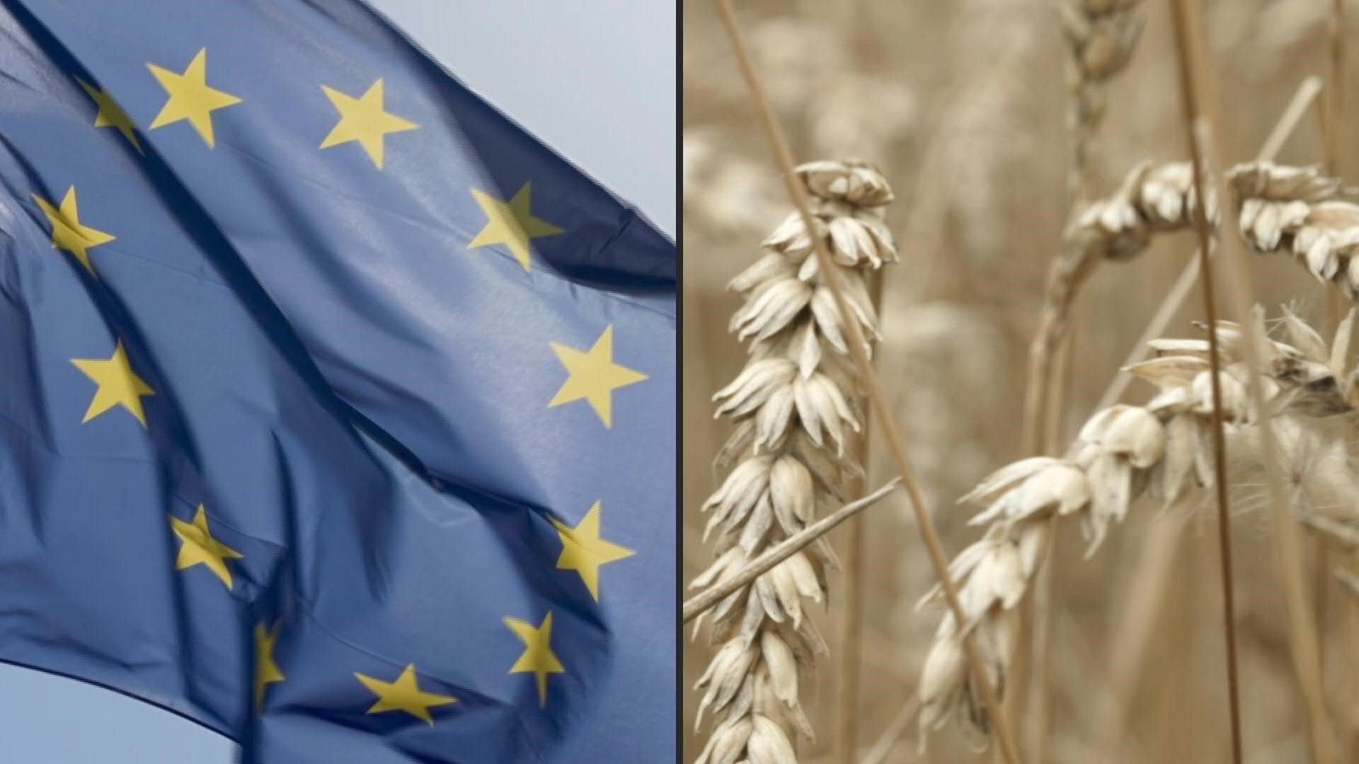 Video: EU-Länder stimmen Mercosur-Freihandelsabkommen zu