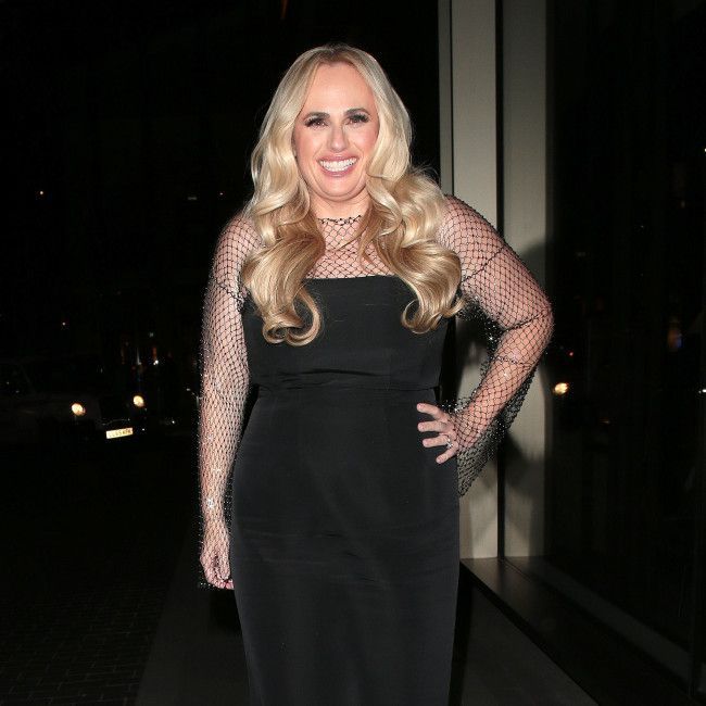 Rebel Wilson's doctors blamed her 'demented brain' from malaria when she declared she wanted to be an actress