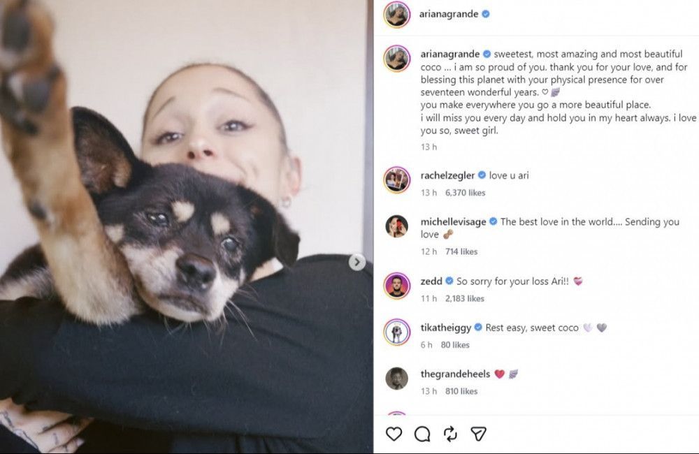 Ariana Grande mourns her dog Coco