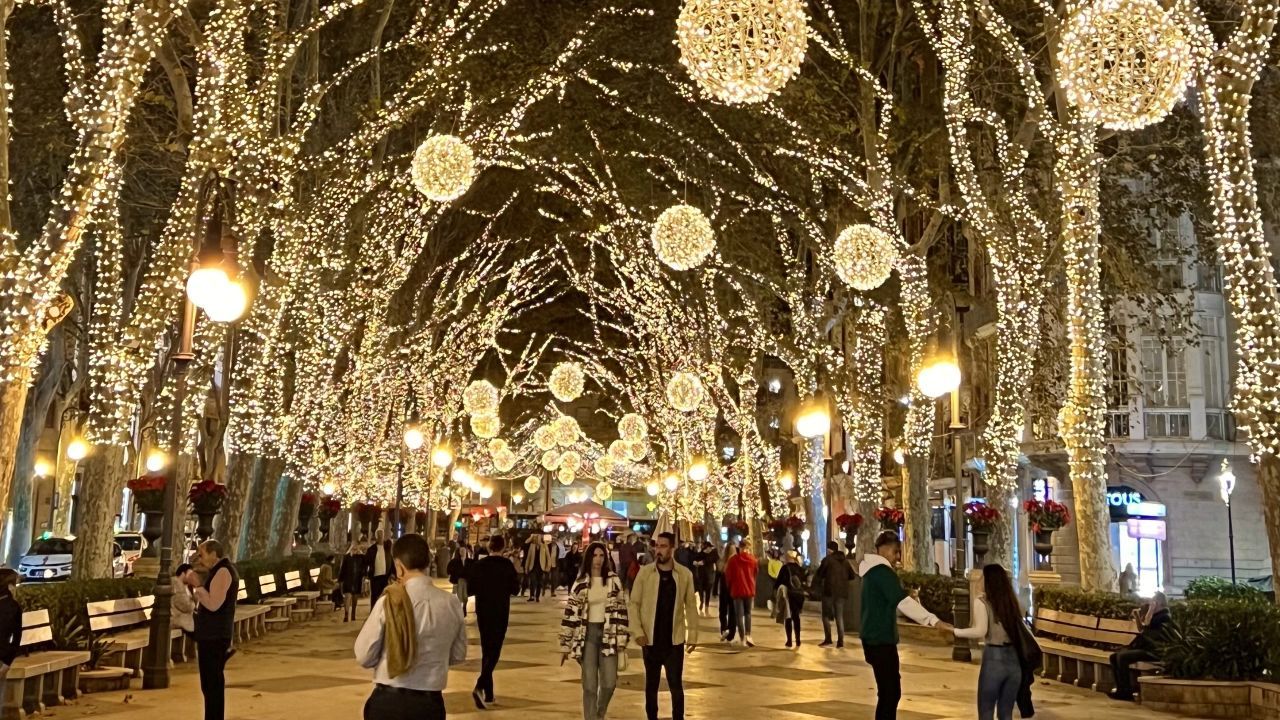 So beautiful Christmas lights Palma now!