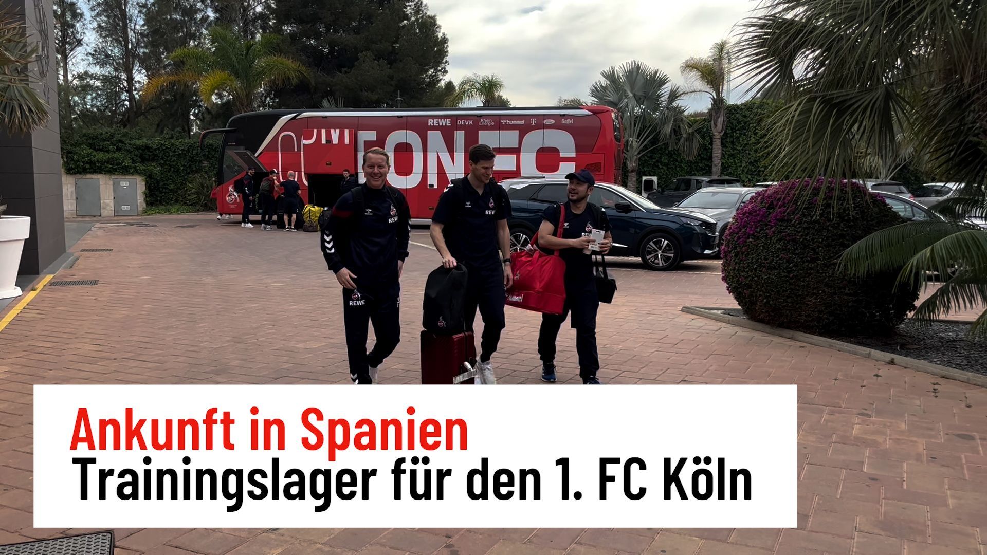 1. FC Köln: Ankunft in Algorfa im Trainingslager-Quartier
