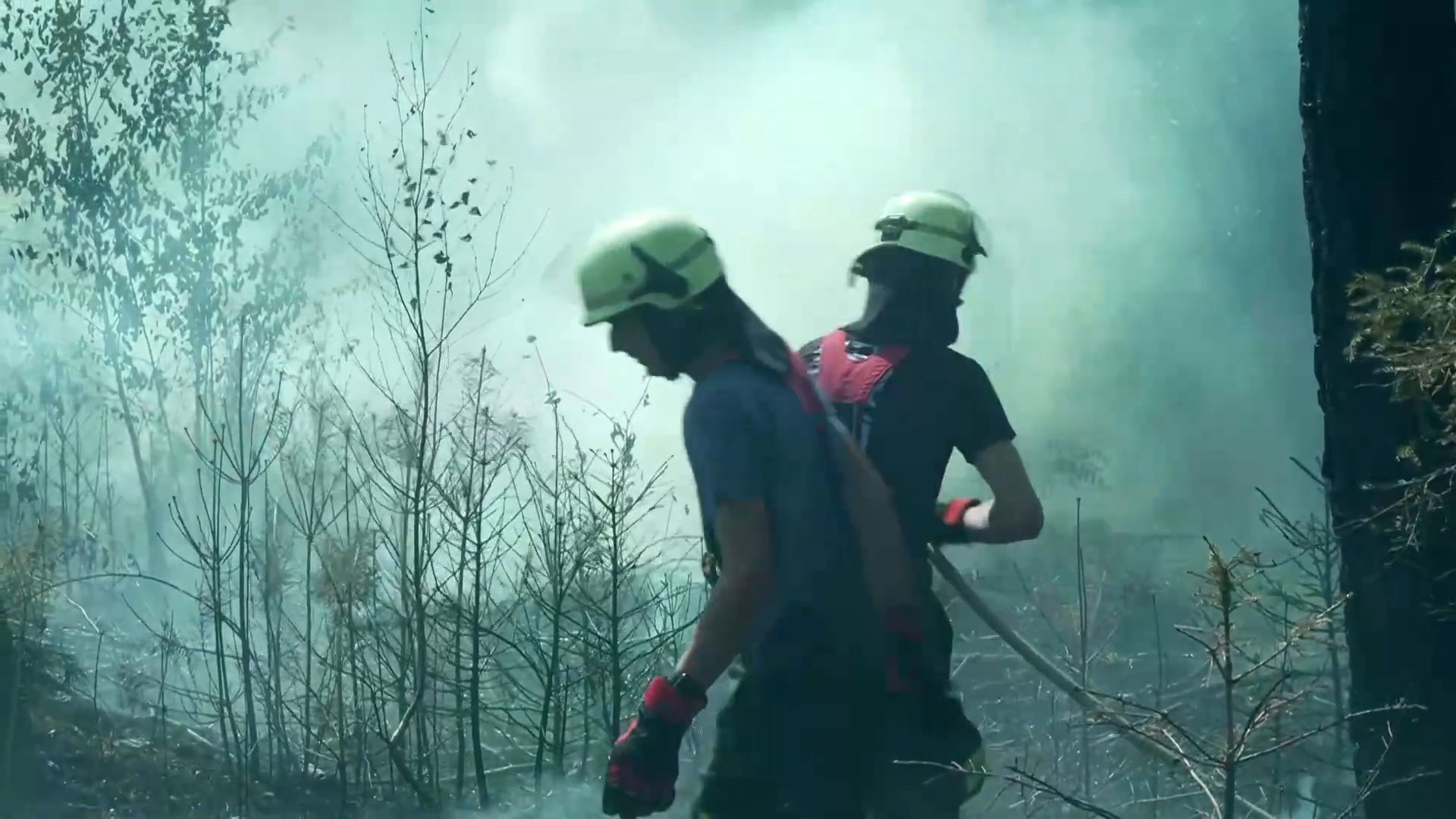 Video: Waldbrand im Kreis Bamberg: 6500 Quadratmeter in Flammen - Bilder zeigen Ausmaß der Zerstörung