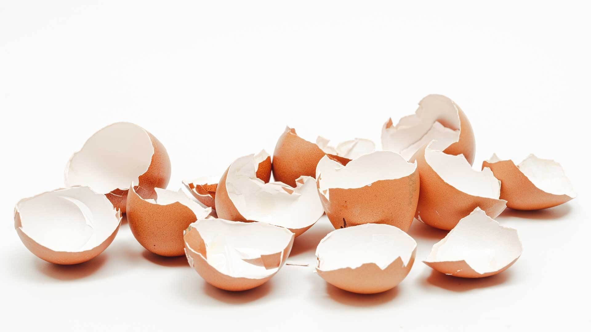 Eggshells: The natural boost for your garden plants