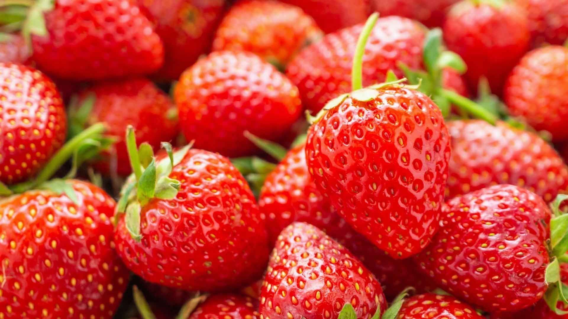 Strawberries are not berries?!