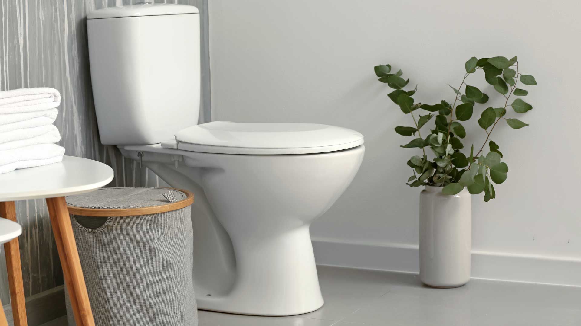 Bad: Why you should always put coffee grounds in the toilet before going on vacation
