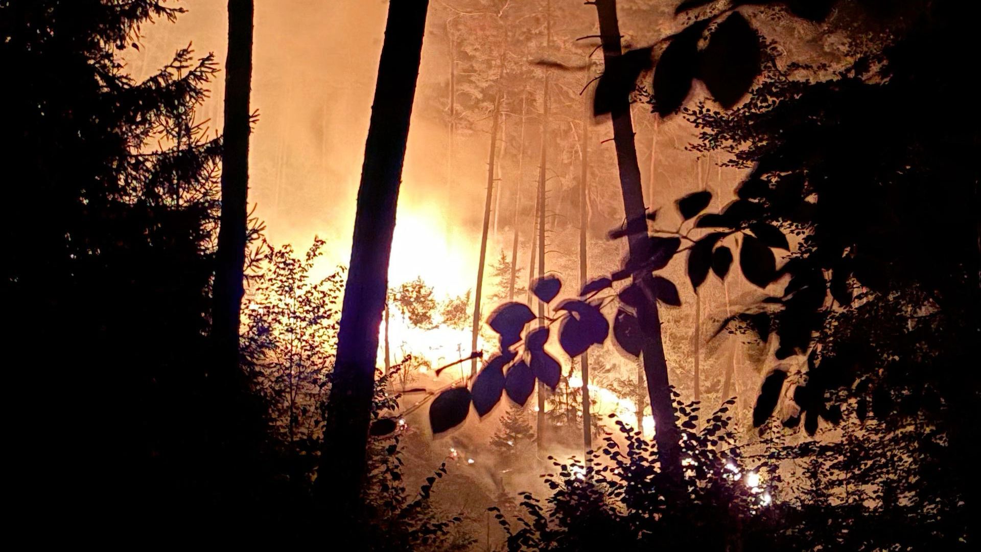 Brandstiftung vermutet: Feuerwehr Pößneck bekämpft erneut Waldbrand zu Fuß