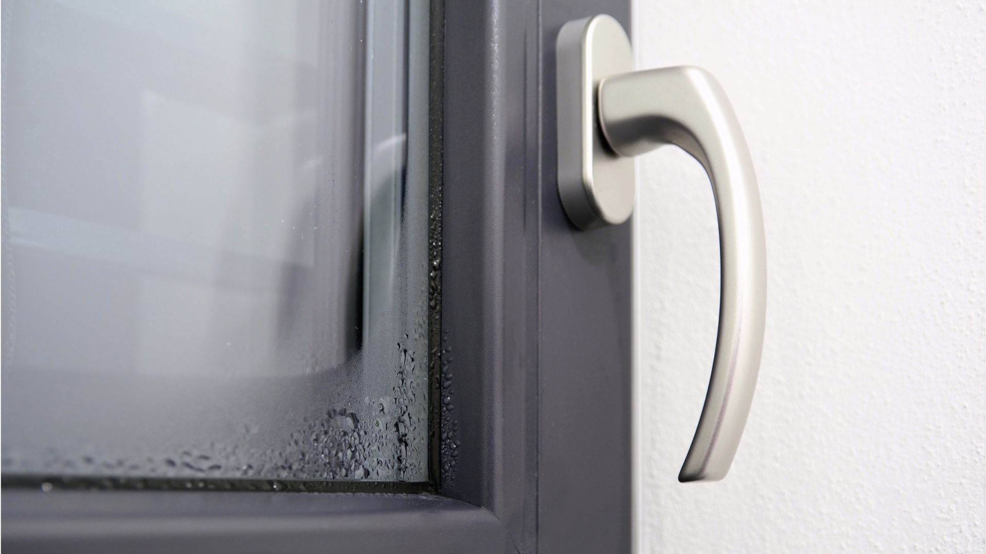 Kondenswasser an der Fensterscheibe: Was Sie dagegen tun können