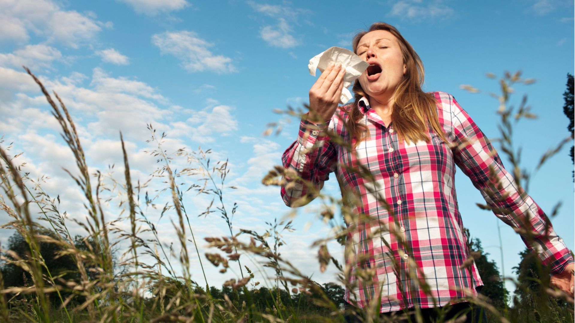 10 Tipps bei Heuschnupfen - So vermeiden Sie allergische Reaktionen