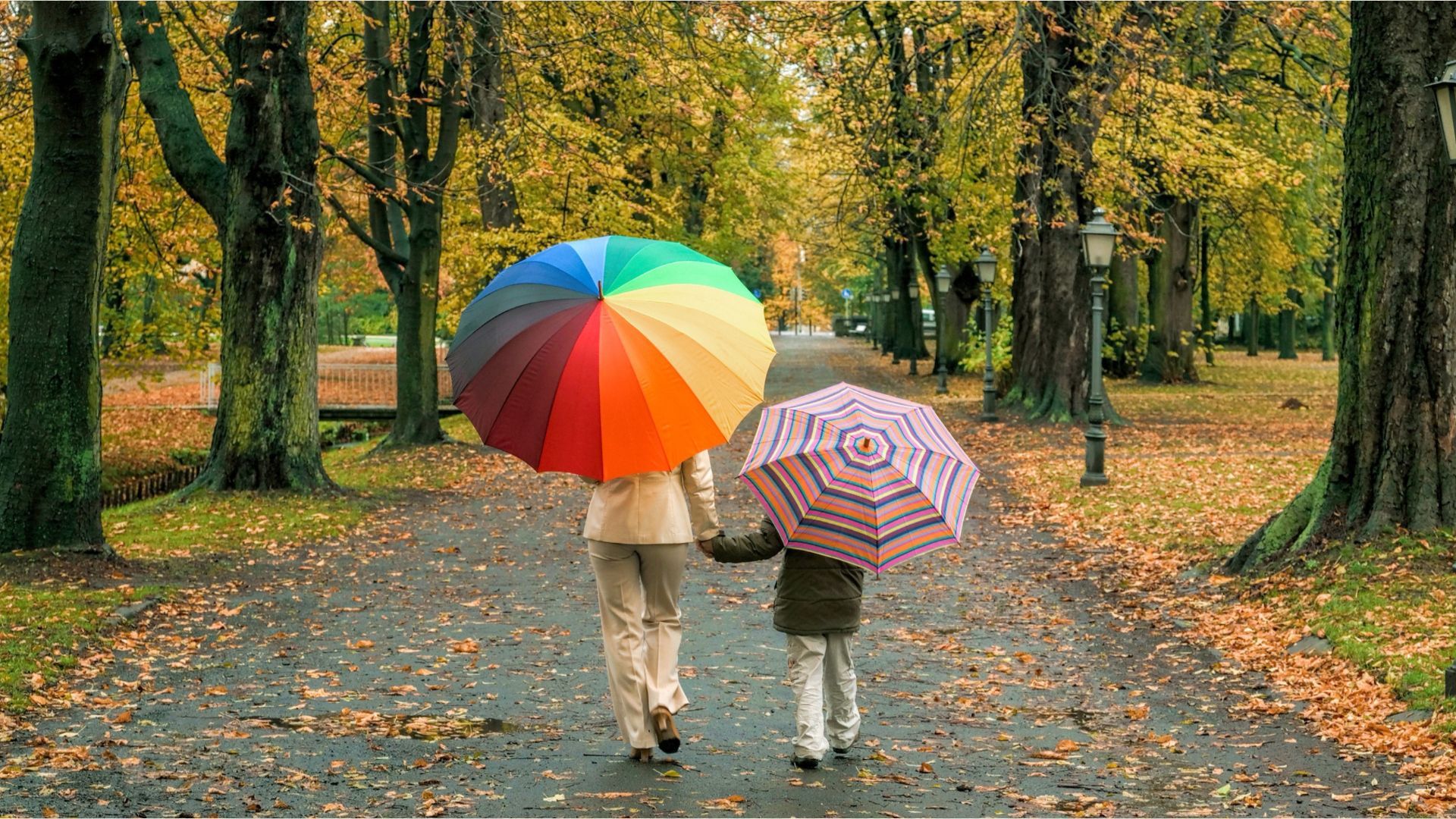 Oktober war laut Wetterdienst-Bilanz sehr nass und deutlich zu mild