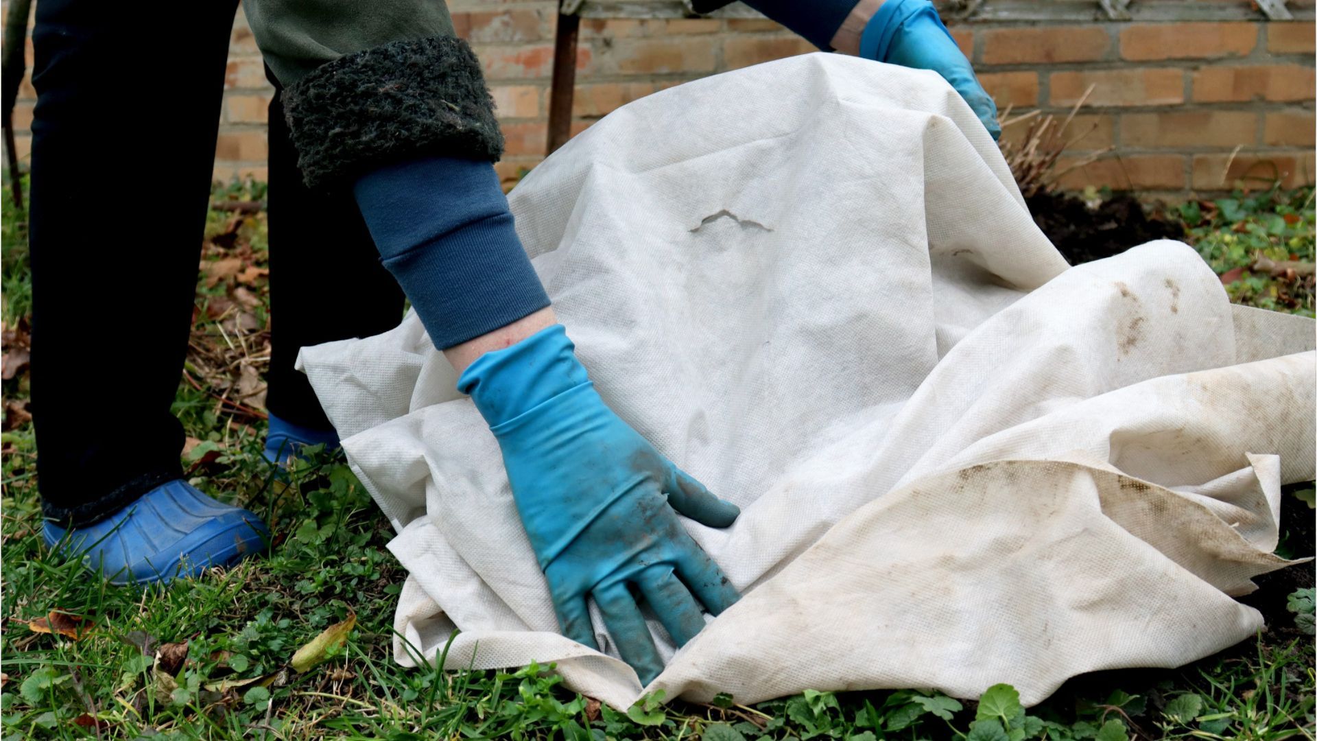 Vor dem Frost Pflanzen im Freien gut einpacken