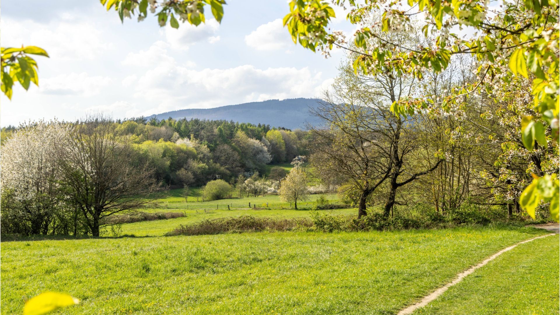 Video: Sonniger Wochenstart in Bayern