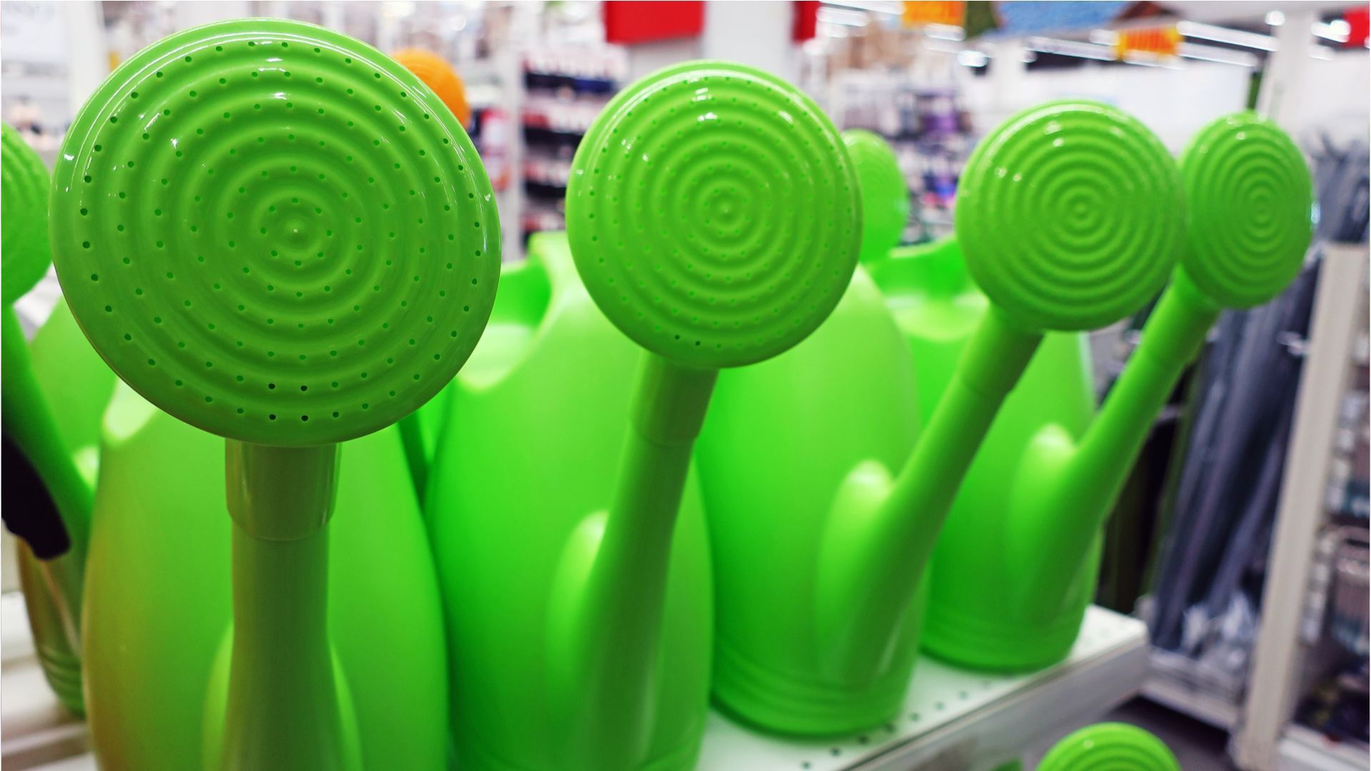 Video: Pflanzen bewässern: 2 Tricks für die Urlaubszeit