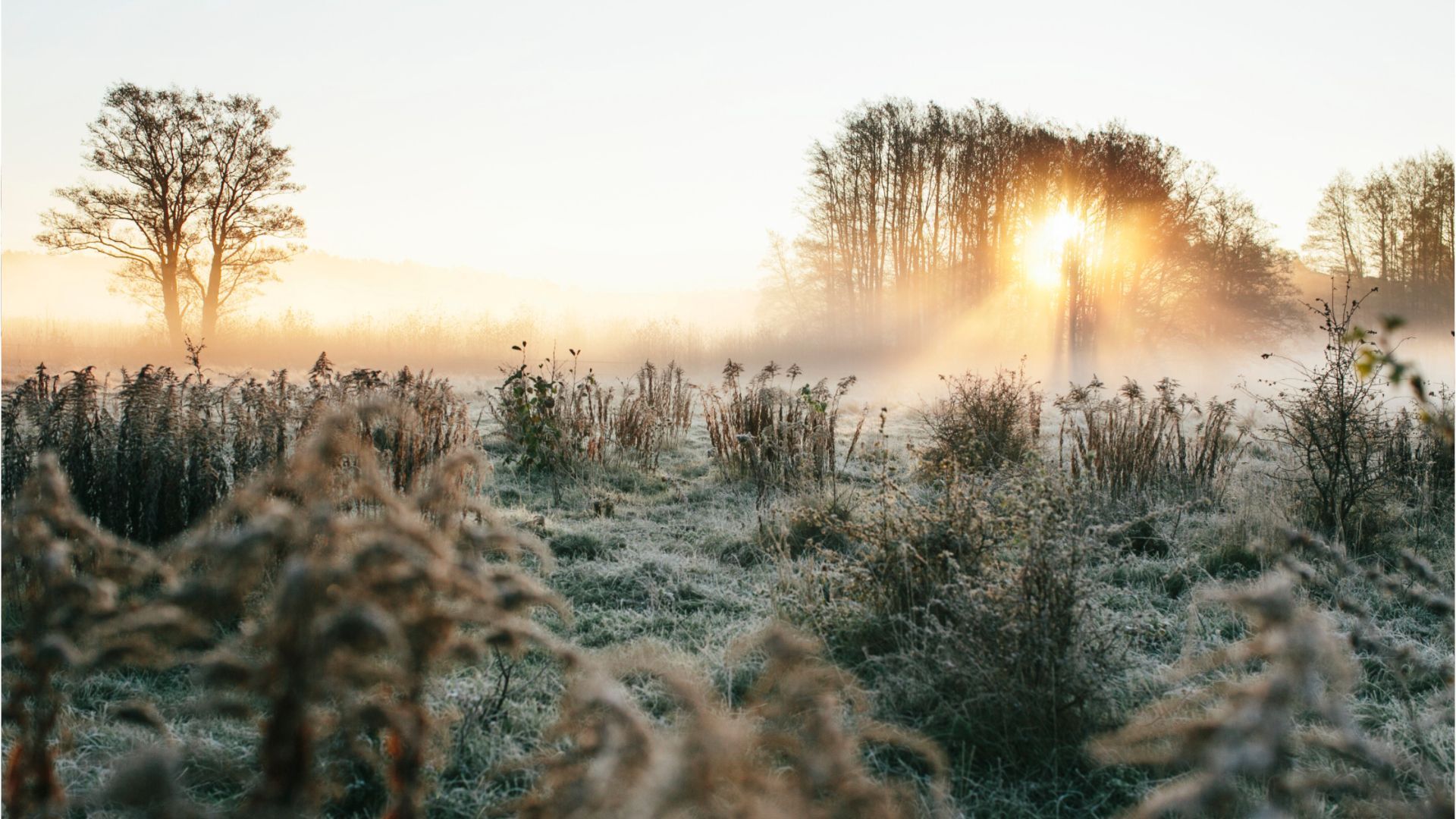 Video: Wetter weiterhin trocken und mild - vereinzelt Frost