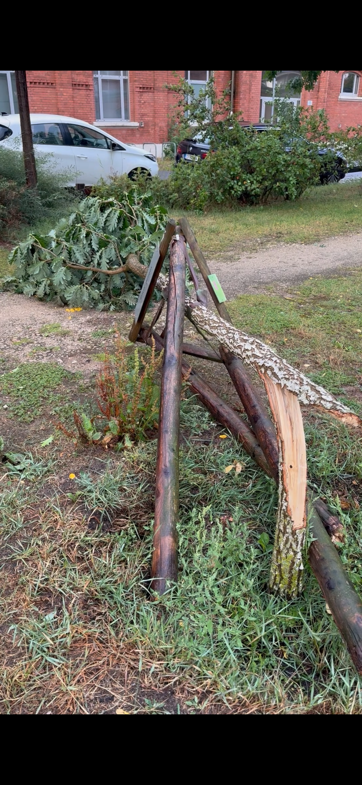 Video: Unwetter richtet in Erlangen einige Schäden an
