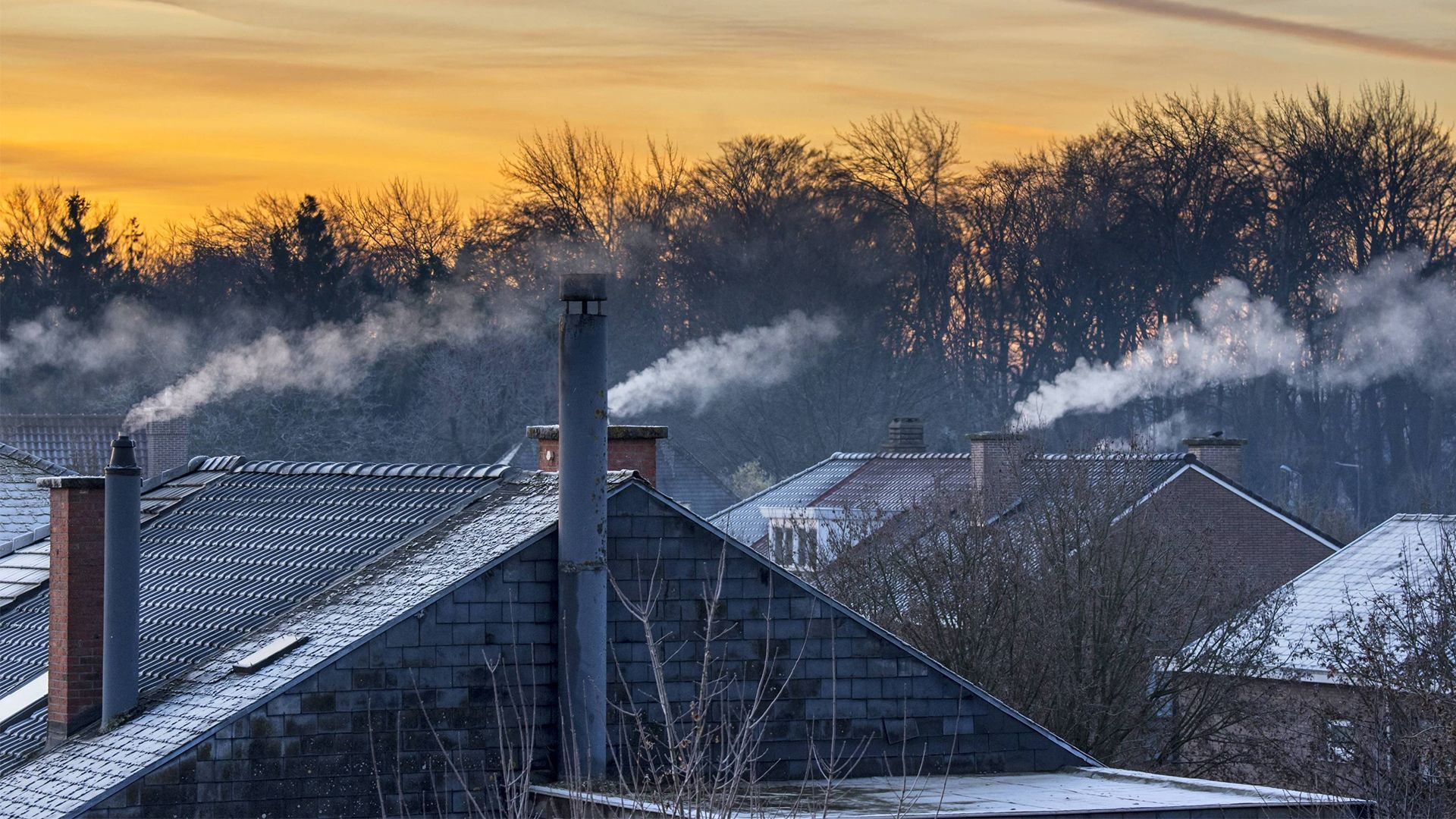 Heizen mit Holz vor dem Aus? Das würde deutsches Heizungschaos perfekt machen