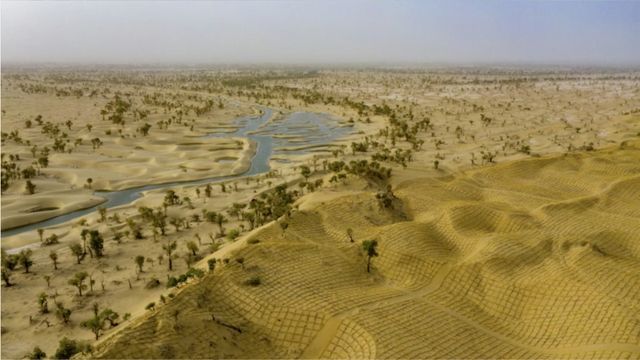 Video: China hat so viele Bäume um die Taklamakan-Wüste gepflanzt, dass es die „biologische Leere“ in eine Kohlenstoffsenke verwandelt hat