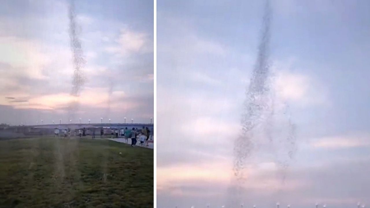 Mücken-Tornados: Frau filmt seltsames Phänomen an Flussufer in China