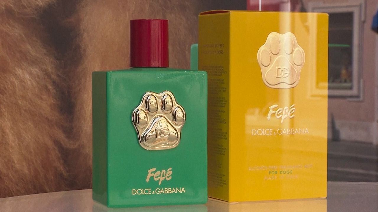 Luxus-Duft für Hunde: Dolce & Gabbana verkauft Vierbeiner-Parfüm