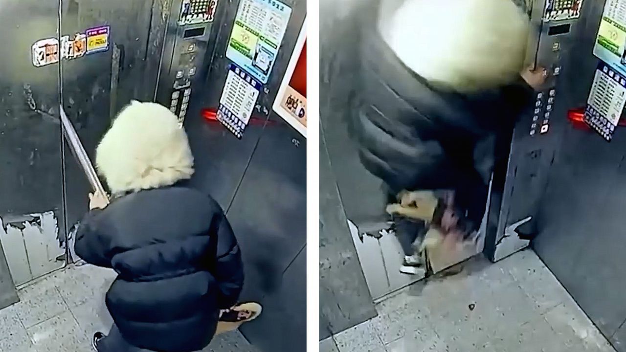 Hundeleine verfängt sich in Fahrstuhltür: Hund und Frauchen haben Glück