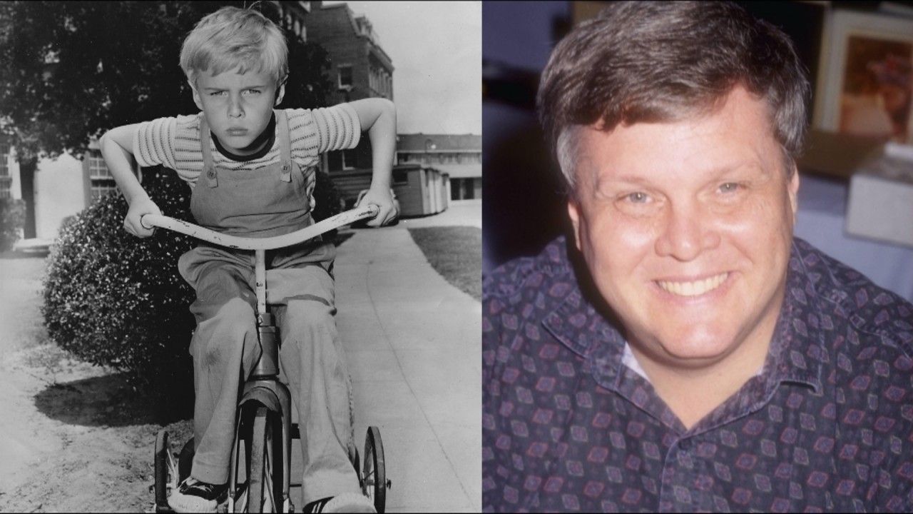 Video: Ehemaliger Kinderstar: Schauspieler Jay North im Alter von 73 Jahren verstorben