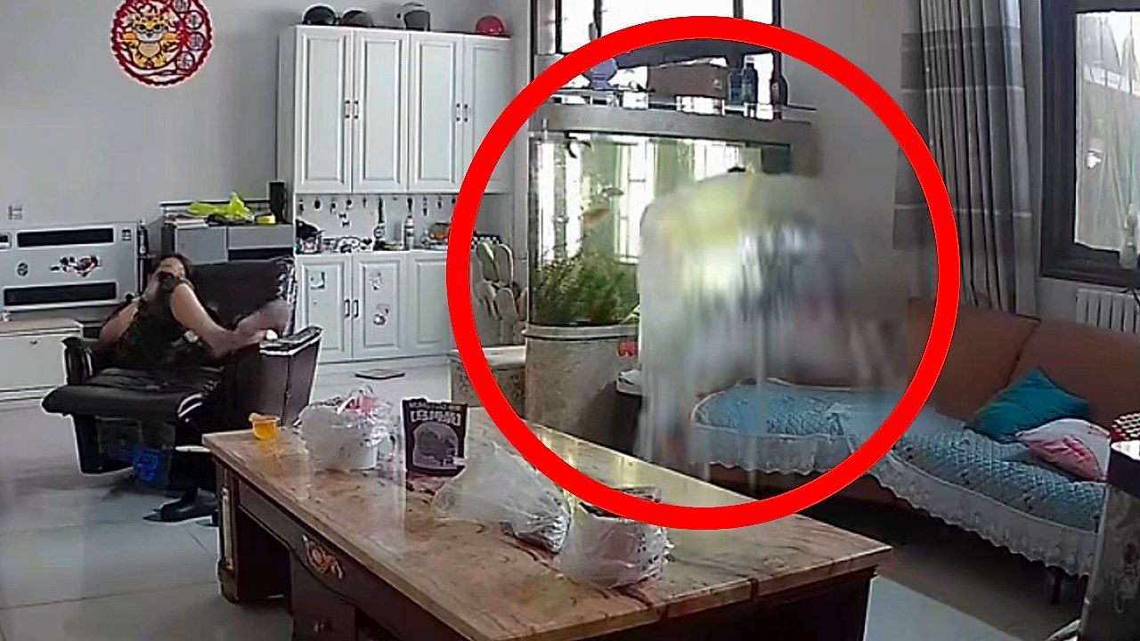 Video: Frau entspannt sich auf Sessel – dann wird ihr Wohnzimmer überflutet