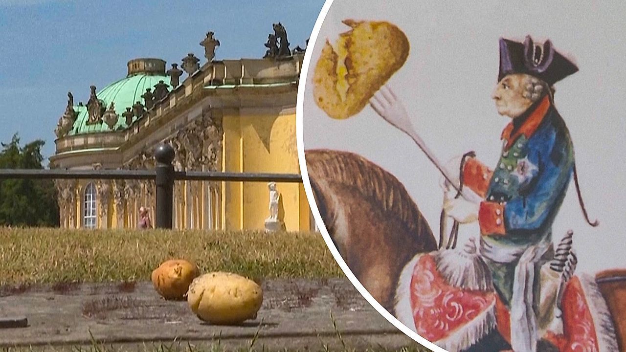 Mythos Kartoffelkönig: Wie Friedrich II. die Deutschen angeblich austrickste