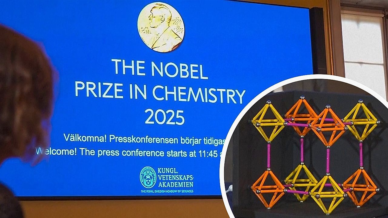 Vielseitige Molekül-Schwämme: Chemie-Nobelpreis geht an MOF-Forscher