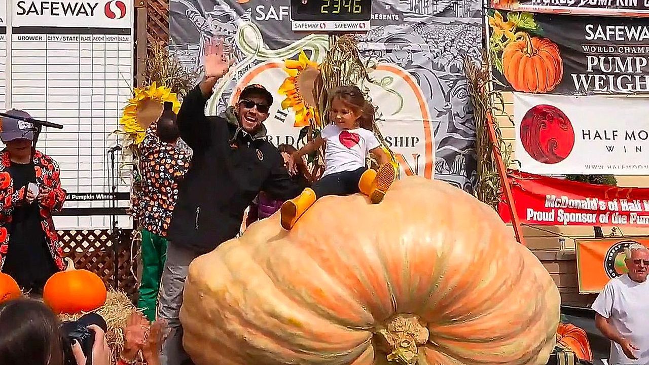 Video: 1.064-Kilo-Gigant: Ingenieur gewinnt Riesenkürbis-WM in Kalifornien