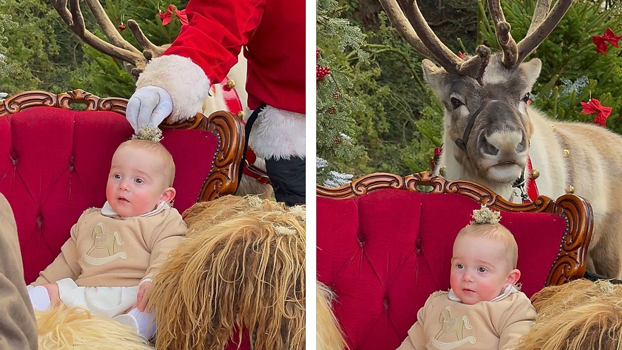 Adorable Christmas photoshoot has hungry reindeer join in