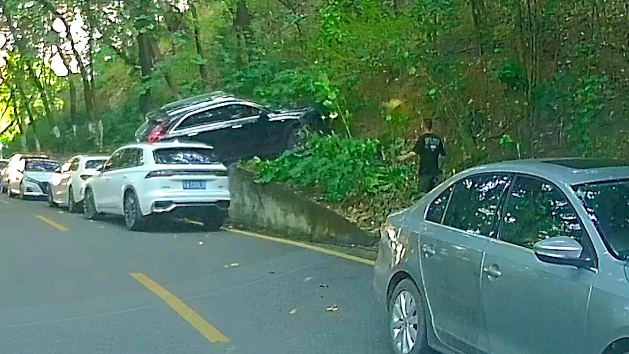 Reverse parking is not easy – driver loses control up embankment