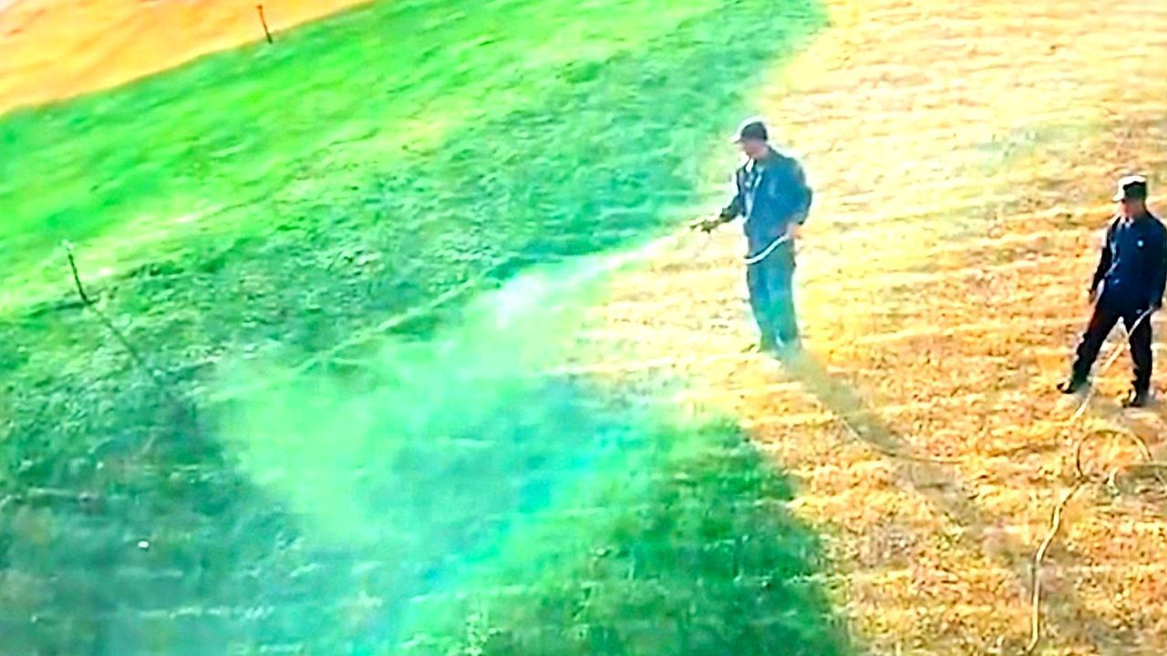 Video: Rasen grün gesprüht: Stadtarbeiter sorgen für kuriose Szene