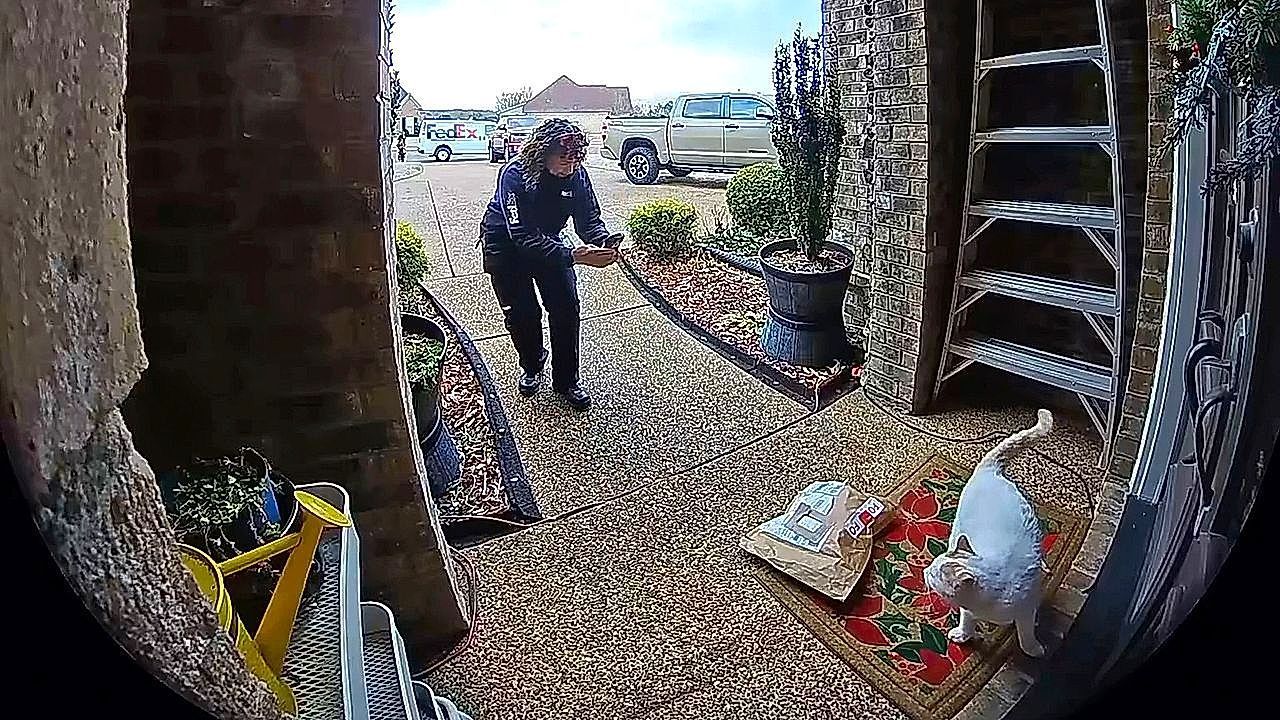 Video: Cat delivers an iconic moment during FedEx driver delivery