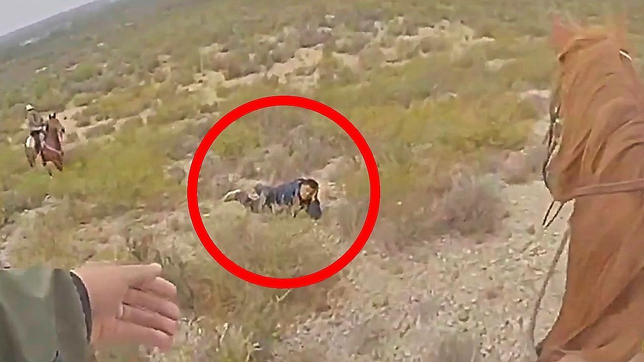 Video: Mounted troopers close in after camera alert on remote Texas ranch