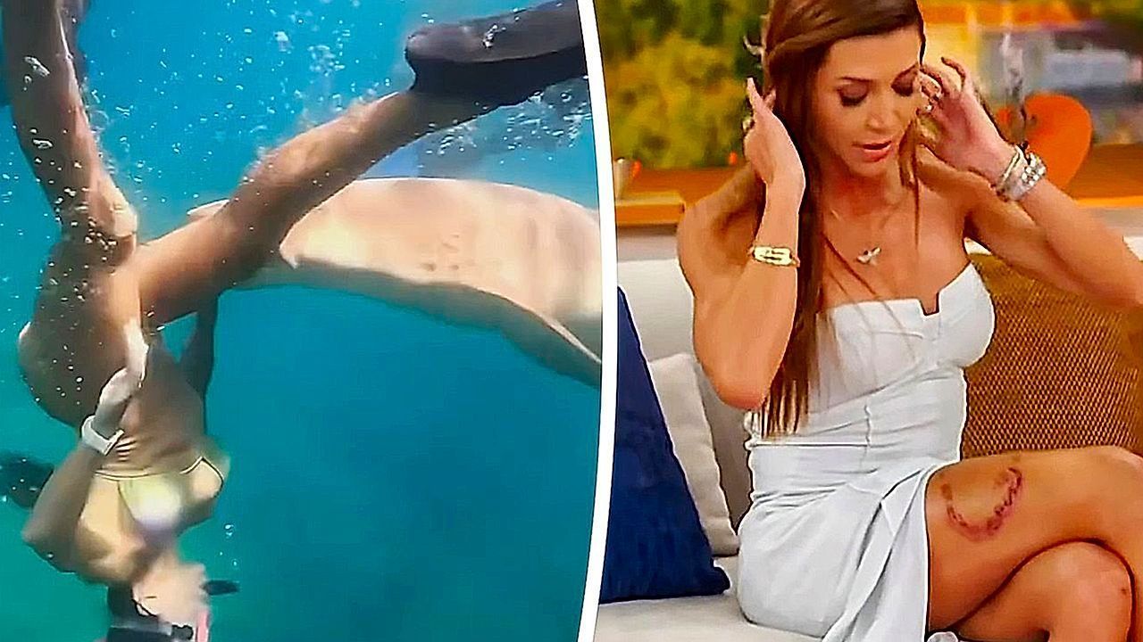 Video: Dramatische Sekunden: Hai zieht Taucherin am Bein in die Tiefe