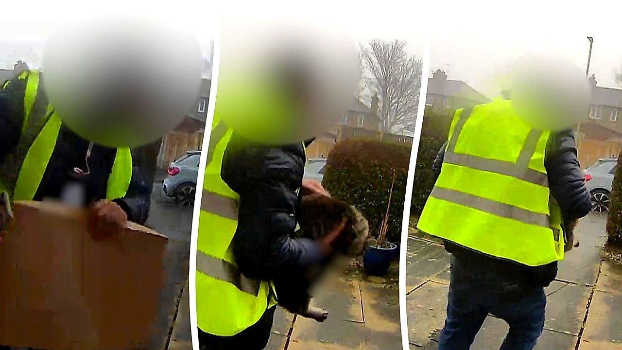 Video: Paket abgeliefert, Katze mitgenommen: Amazon-Bote begeht dreisten Tier-Diebstahl