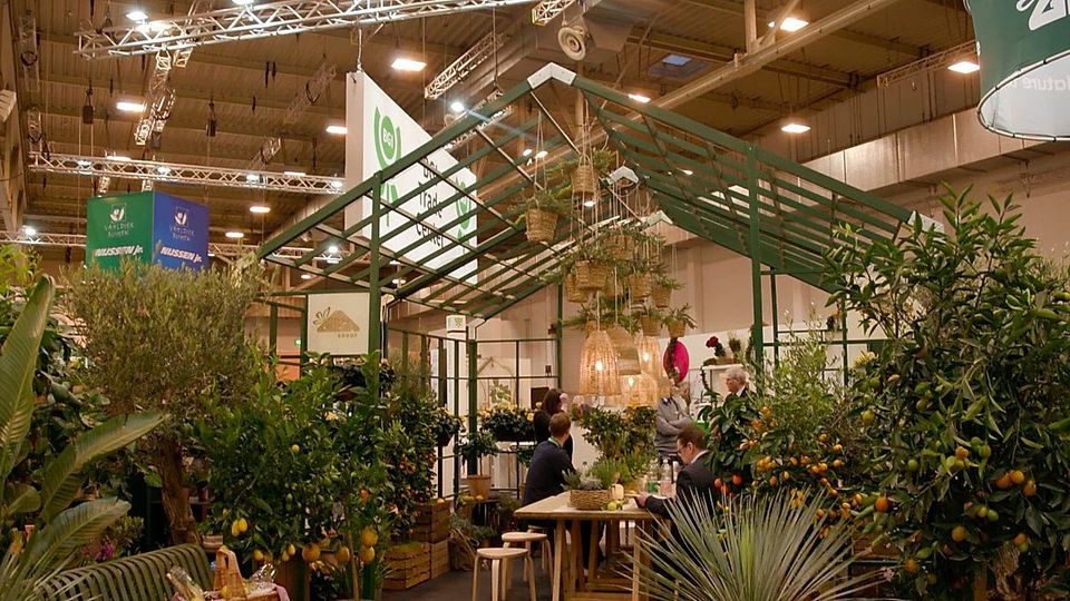 Grüne Trends zum Anfassen: Die IPM ESSEN zeigt, was morgen wächst