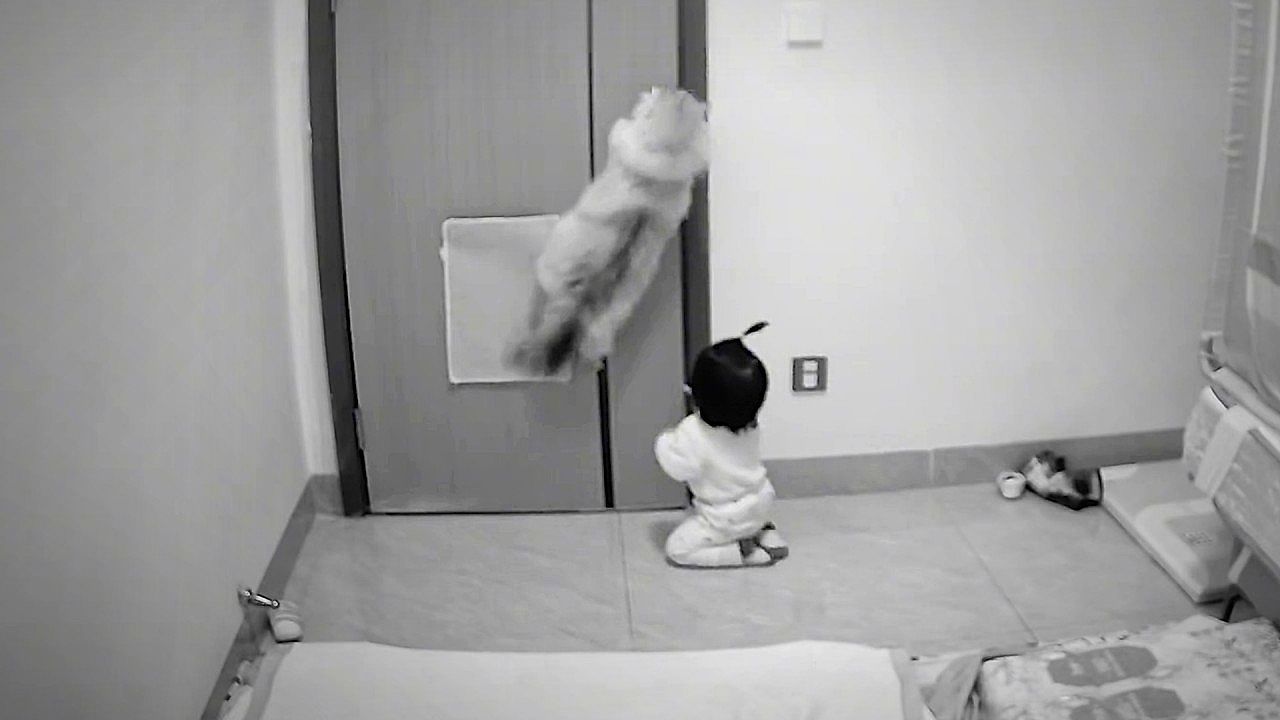 Perfektes-Teamwork-Katze-als-T-r-ffner-Baby-gelingt-der-Ausbruch