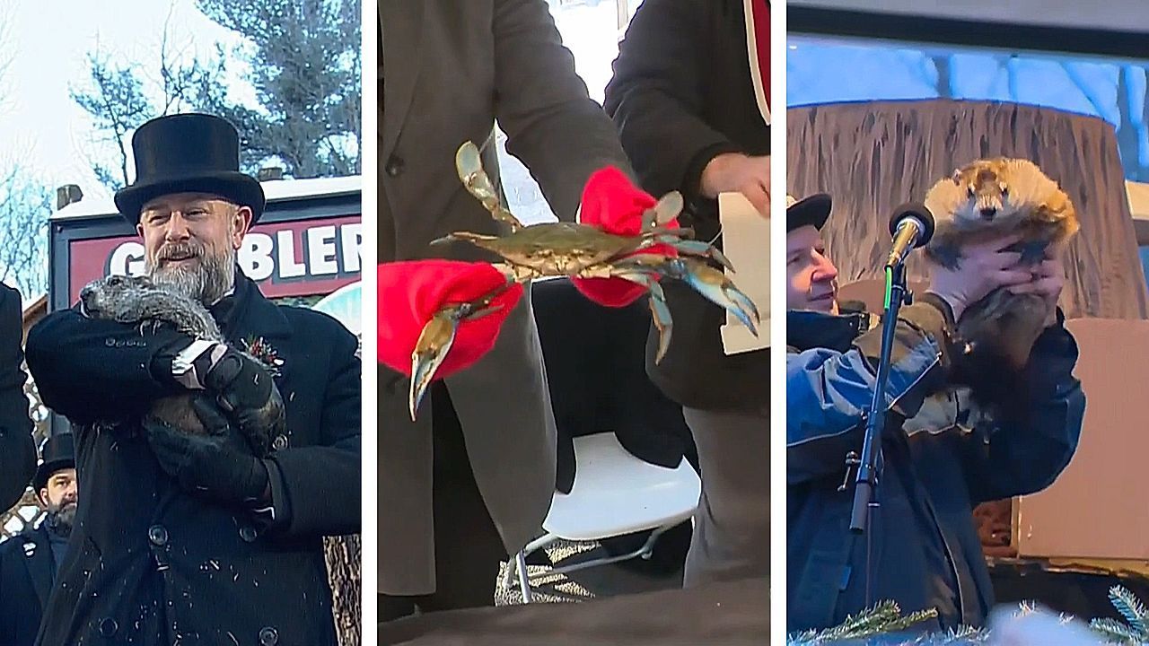 Video: Winter oder Frühling: Murmeltiere und „Krabben-Orakel“ sind sich uneinig