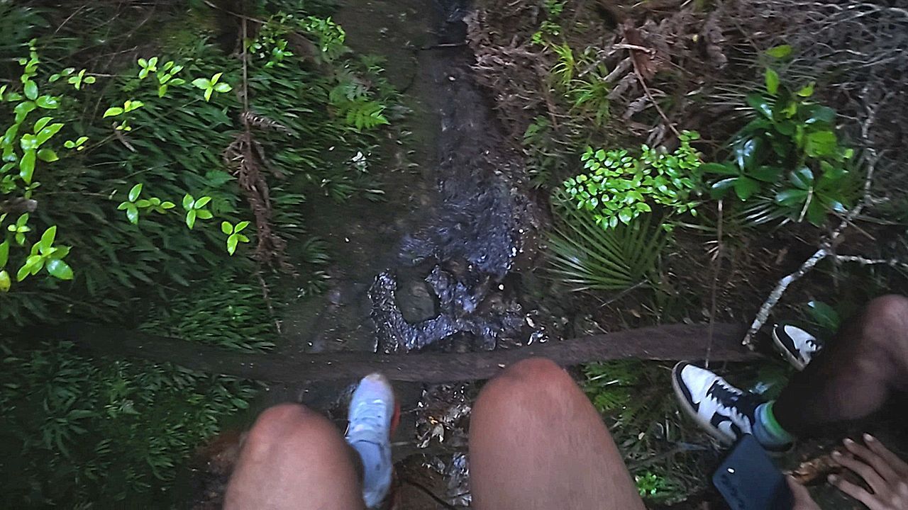 Video: Selfie auf morschem Stamm – dieser Ausflug endet schmerzhaft